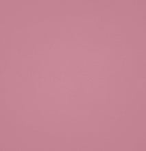 Load image into Gallery viewer, Radical No 046: Rose Pink
